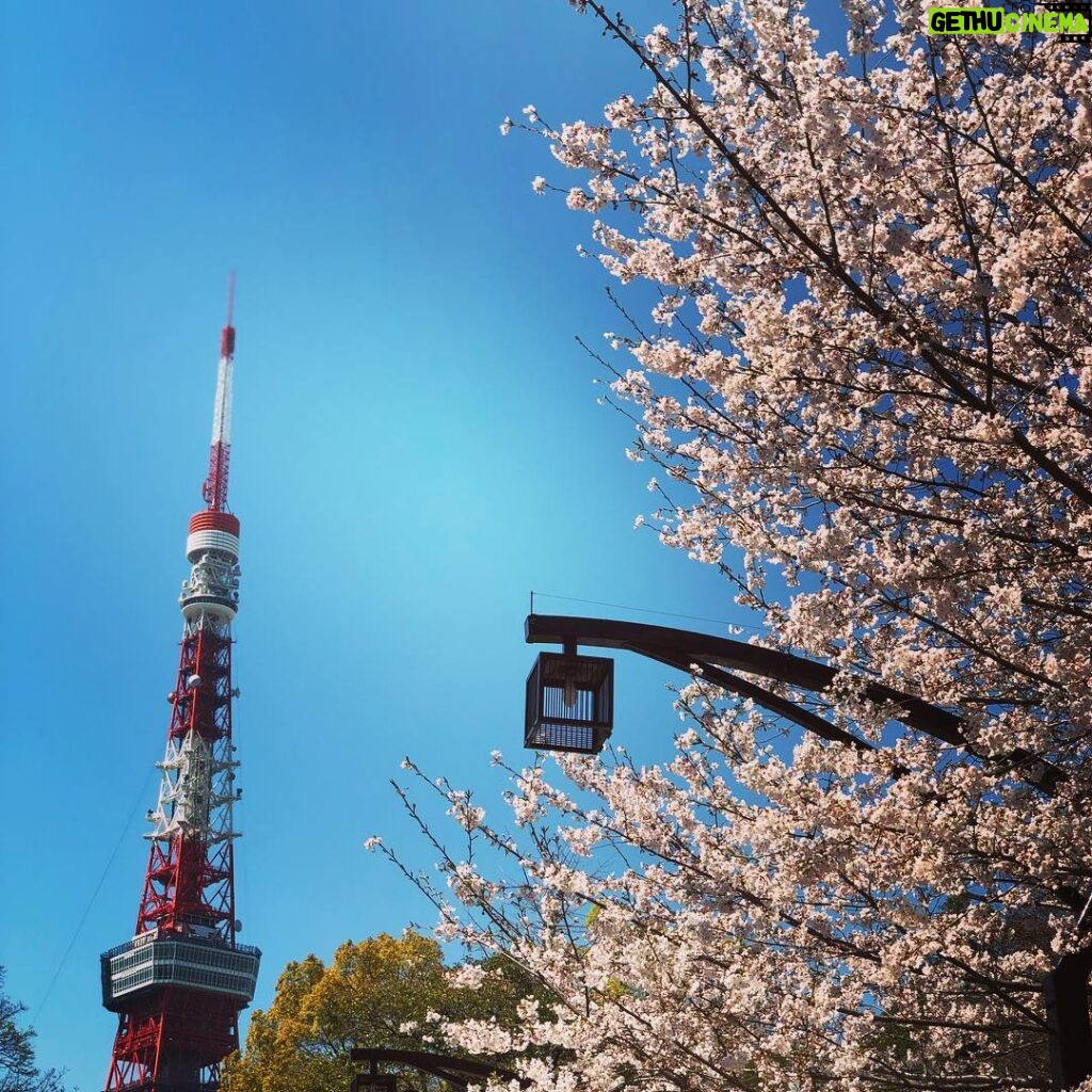 Kensho Ono Instagram - 春ですね🌸 やっぱり東京タワー好きだな🗼🙆‍♂️