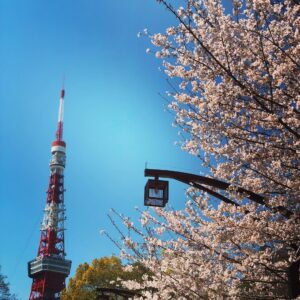 Kensho Ono Instagram - 春ですね🌸
やっぱり東京タワー好きだな🗼🙆‍♂️