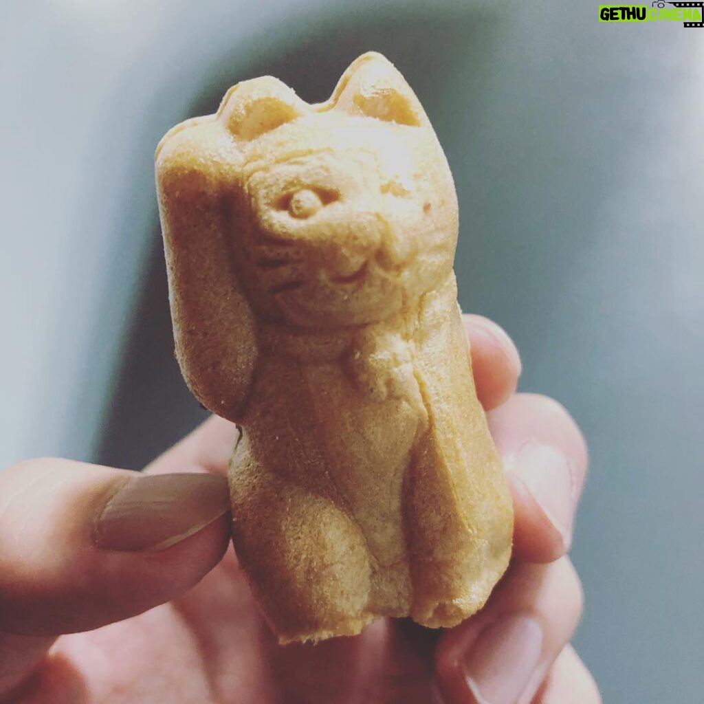 Kensho Ono Instagram - 差し入れで頂いた招き猫モナカ。きゃわいい。