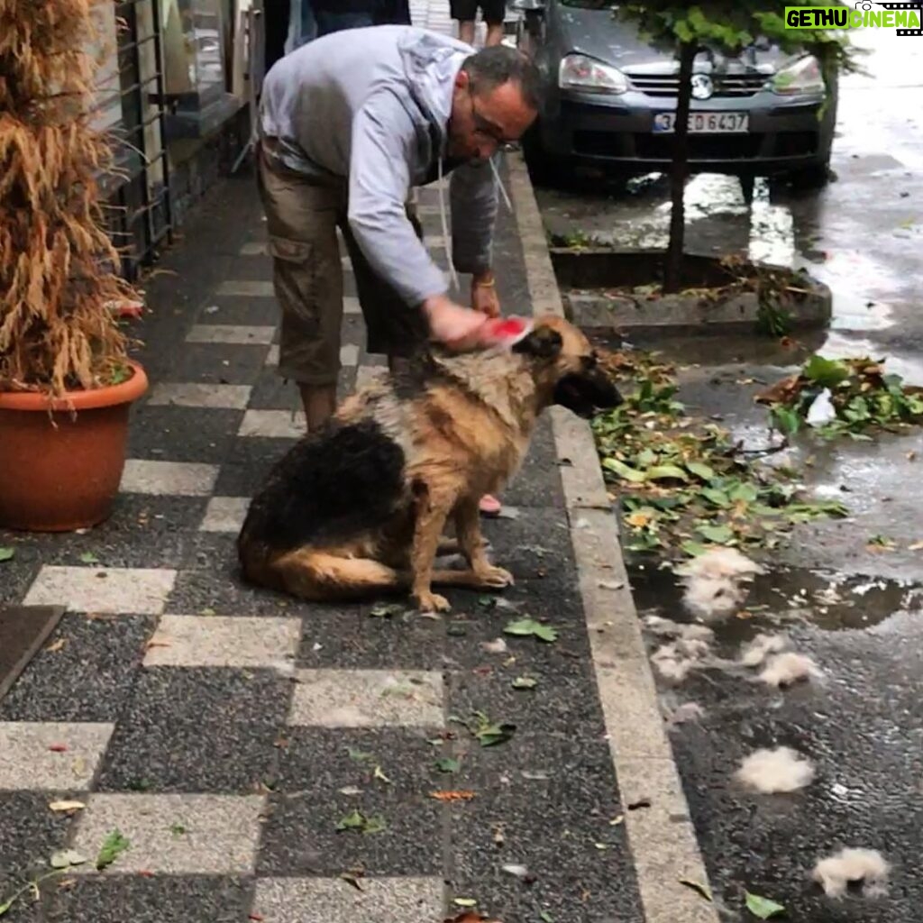 Kerem Fırtına Instagram - Sokak köpeğini tarayan esnafı seviyoruz.
