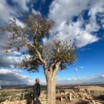 Kerem Fırtına Instagram - Göbeklitepe