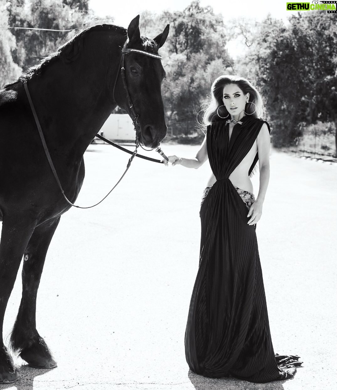 Kerri Kasem Instagram - Some of my most favorite photographs are in black-and-white. 🖤🤍 Thank you @arezoojalali_photography for capturing this moment for @stylecruze magazine! Make-Up by @makeupnadiya.ca Horse - @friesiansm Shari Mahaffey Black Dress - @stello Collab - @my_cavago #blackandwhitephotography #Rammstein #Blackhorse