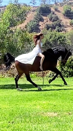 Kerri Kasem Instagram - Yesterday’s photoshoot with @mattcali_photography for @era.australia was magical! ✨

Thanks @barn_mom_chronicles for letting me ride your beautiful Andalusian champion show horses!

A big thank you to the whole team!
@eloise.nuyda
@fayeecalloway 

Rene Rojas @cosmo1234
Lorraine Rojas @lorlefty

@sky_is_dlimit - white dress

#andalusian #whitedress #horse #horsegirl #horsephotography