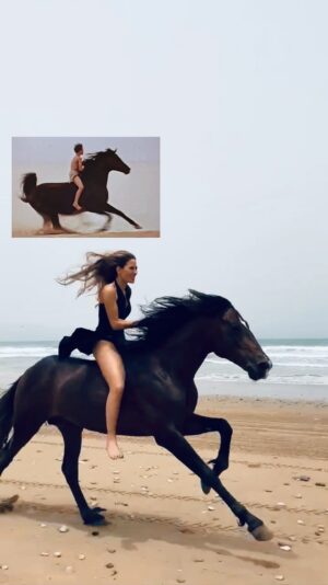 Kerri Kasem Instagram - In 1979, at the Century City movie theater on Avenue of the Stars, I watched The Black Stallion sitting next to my dad. 

At 7 years old, I already loved horses but this movie changed my life! My dad took me to see it every single weekend until it left the theaters. All I thought about and dreamed about was horses! 

I thought, one day, I will ride on my black stallion just like Alec Ramsey did in the movie, on the beach, no reins, no saddle just me and my horse. It took me over 40 years to make this dream come true… But I did it!

My life has returned to horses in such a beautiful way! Living my dream, living my best life and happier, at almost 50 years old, than ever before! 

Don’t wait, life is short. 
I put this Nike quote in my high school yearbook in 1991… 
JUST DO IT!!!

TY @yassine_cavalier for making my dream come true! 🐴❤️

#BlackStallion #Horses #Beach #liveyourdreams