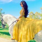 Kerri Kasem Instagram – Good Morning!!! ☀️ 

#BTS for @fashionmagazinenyc by @arezoojalali_photography! 

Thank you to the team! 💛
@jbeauty_xoxo – make-up
@sky_is_dlimit – stylist
@pr_solo – stylehouse 

@friesiansm – Jardim MT Lusitano horse
@carlossantosdressage – trainer Jardim MT

#Lusitano #YellowDress #NewYorkFashion #goodmorning