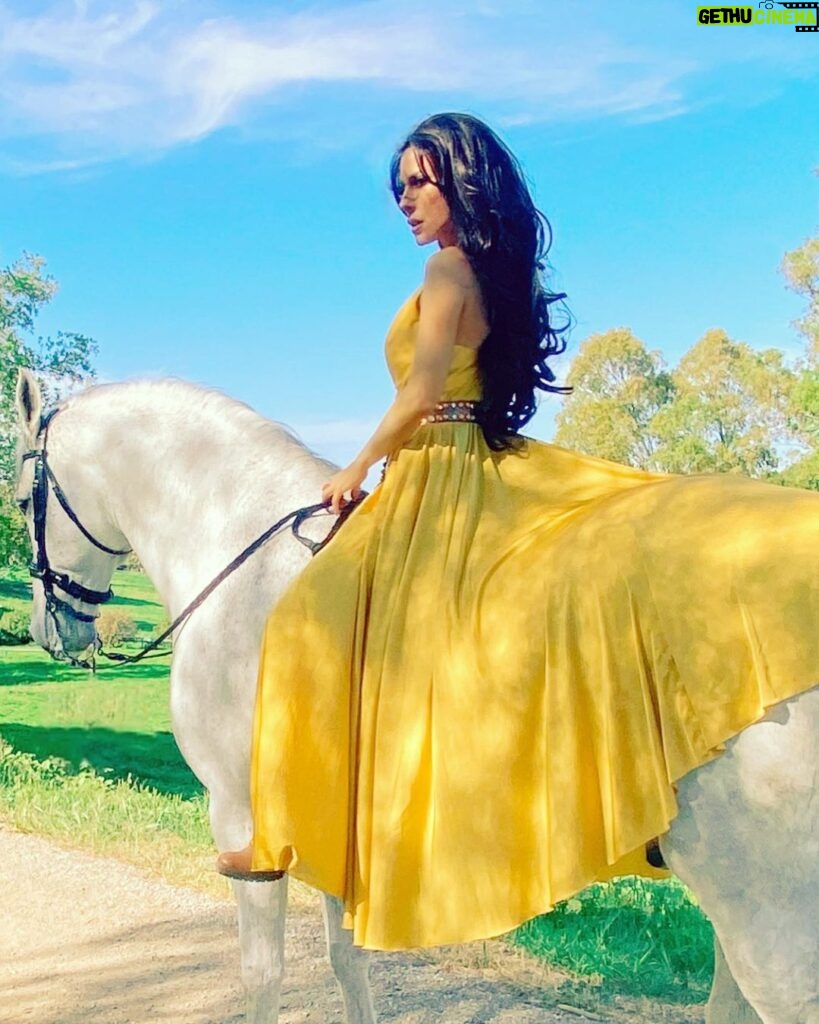 Kerri Kasem Instagram - Good Morning!!! ☀️ #BTS for @fashionmagazinenyc by @arezoojalali_photography! Thank you to the team! 💛 @jbeauty_xoxo - make-up @sky_is_dlimit - stylist @pr_solo - stylehouse @friesiansm - Jardim MT Lusitano horse @carlossantosdressage - trainer Jardim MT #Lusitano #YellowDress #NewYorkFashion #goodmorning