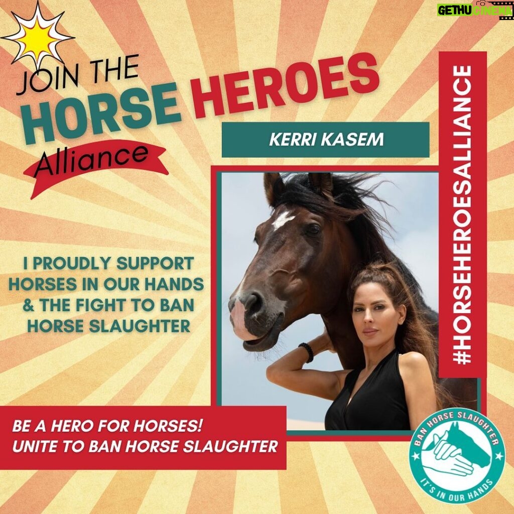 Kerri Kasem Instagram - 📣As a PROUD horse lover 💗 I am so excited to join “Horse Heroes Alliance” to support my dear friends Bek and Siri and @horsesinourhands movement towards passing the SAFE Act to end horse slaughter NOW‼️ Please ⚠️TAKE ACTION⚠️ ✅ Click link 🔗 in bio @horsesinourhands.   It takes less than 30 seconds to send an email asking your committee members to CO SPONSOR The SAFE Act now! ✅Call your Legislators: 202 224 3121. Ask to be connected to your Representatives and BOTH Senators and demand they pass the SAFE Act. The time is NOW ⌛️with the House Committee hearing this week Thursday May 26th. We need YOU now more than ever! 🙌🏻🐴 ➡️ Please join me and our fellow horse lovers, rescuers, and advocates in our final push to get this bill across the finish line! 🏁 ✅Click link in bio @horsesinourhands Love and gratitude Kerri Kasem 💗🙏 #horseheroesalliance #horserescuer #yes2safe #banhorseslaughter #horsesinourhands Washington D.C.