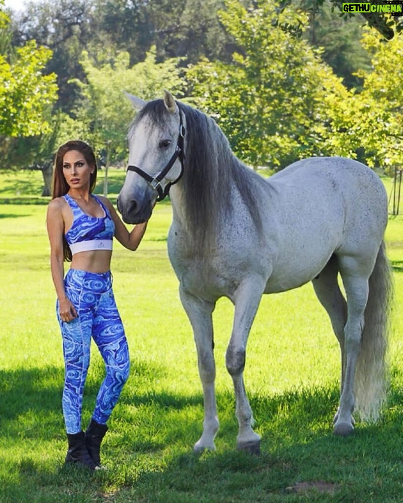Kerri Kasem Instagram - @era.australia has the most unique riding apparel I have ever seen! Here I am modeling the Blue Marble Collection. Stylish and super comfortable with amazing clear grip technology on the inside of the legs for a really great seat or so you don’t slip off while riding bareback. So honored to be one of their models! Shot by the one and only @mattcali_photography Thank you Lorraine @lorlefty and Rene @cosmo1234 for sharing your beautiful horse, Cosmo with all of us! 🤍 TY to the whole team! @barn_mom_chronicles @eloise.nuyda @fayeecalloway #HorseAndRider #HorsePhotography #eraaustralia #ridingapparel #whitehorse