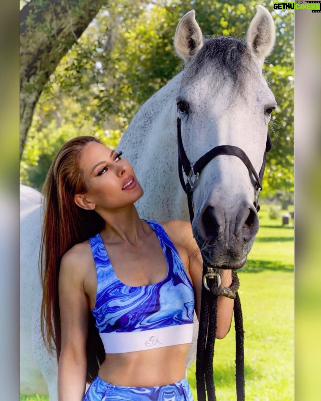 Kerri Kasem Instagram - @era.australia has the most unique riding apparel I have ever seen! Here I am modeling the Blue Marble Collection. Stylish and super comfortable with amazing clear grip technology on the inside of the legs for a really great seat or so you don’t slip off while riding bareback. So honored to be one of their models! Shot by the one and only @mattcali_photography Thank you Lorraine @lorlefty and Rene @cosmo1234 for sharing your beautiful horse, Cosmo with all of us! 🤍 TY to the whole team! @barn_mom_chronicles @eloise.nuyda @fayeecalloway #HorseAndRider #HorsePhotography #eraaustralia #ridingapparel #whitehorse