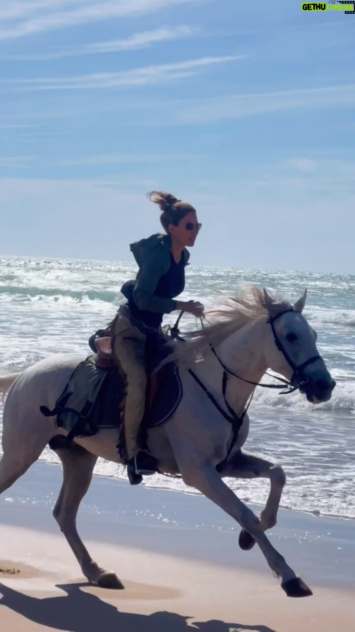 Kerri Kasem Instagram - Without you, Mom, I would never have known one of the greatest loves of my life… Horses! Thank you for giving me that gift and for all the love and sacrifices you made for me over the years. ♥️♥️♥️ HAPPY BIRTHDAY!!! ♥️♥️♥️ I love you! @kasemnaylor @yassine_cavalier 🐴 @my_cavago