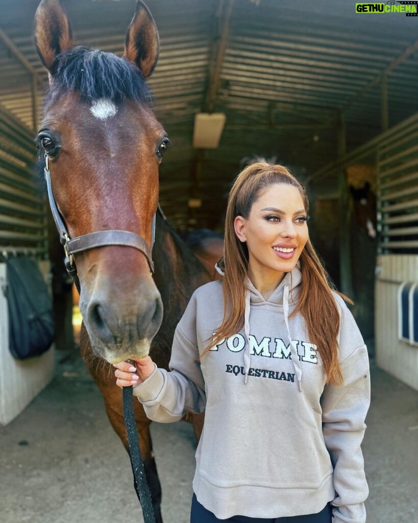 Kerri Kasem Instagram - ☀️ Mornings at the Barn ☀️ Wearing my favorite @wearepomme pullover with one of my favorite horses, Robbie! Thanks again @desi_de_rata_22 🐴♥️ @ashba 📸 #Barn #PullOver #horseclothes
