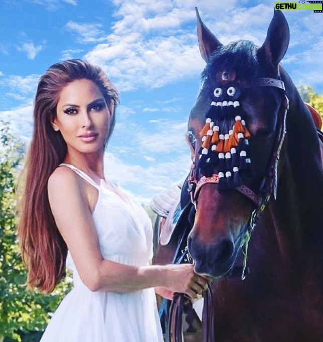 Kerri Kasem Instagram - A beautiful day in the park! Love this shot by @mattcali_photography! Thanks @barn_mom_chronicles for sharing Robbie with me… I love him! @sky_is_dlimit - white dress TY @era.australia 💛 #Horses #HorseAndRider #WhiteDress #BeautifulSky