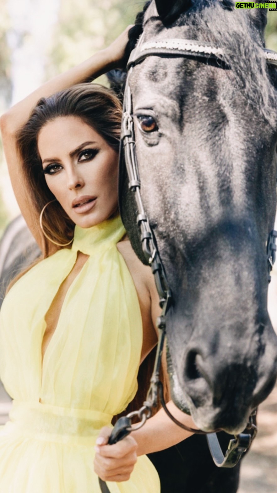 Kerri Kasem Instagram - Saying goodbye to Hielke fan de Gareladen the majestic Friesian. This magnificent horse was such a beautiful part of my life. Starting in 2010, Hielke was the first horse I ever did a photo shoot with. He was such a good boy, putting up with all the big dresses, including a 30 foot train from a wedding gown. Nothing scared him and he was a gentle giant. Then again in 2021 he posed like the regal war horse that he was for the cover of a magazine. Hielke was such a good boy allowing me to climb all over him and ride him with these massive gowns. Thank you to his beautiful care taker and the one who loved him the most, Shari Mahaffey @friesiansm for sharing him with me and the world! (She is the beautiful redhead at the end of the video.) How apropos; the last picture is of them both riding off into the sunset. ♥️ We love you Hielke! . . . Felix Kunze photographer for the 2010 pictures and video. @nathanaellehottois and @fashionweekstudioofficial for the amazing wedding gown and suit in the 2010 shoot. . For the 2021 shoot @arezoojalali_photography for @stylecruze Black and yellow dress by @stello Make-up by @makeupnadiya.ca