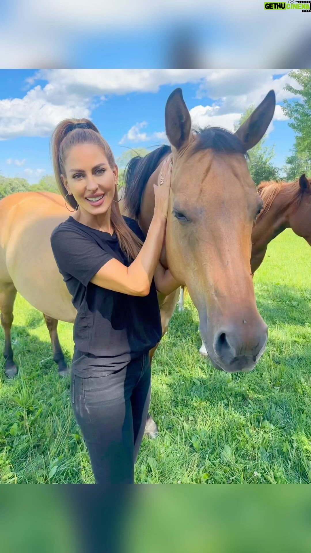 Kerri Kasem Instagram - Fairbury, Illinois was something out of a story book! Green pastures, brightly colored flowers and the bluest sky you’ll ever see. None of these videos have any color filter on them. We were in @ashba’s home town. 💛 🌽🐄🐓🌾💛