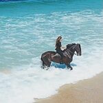 Kerri Kasem Instagram - What a dream! Beauty and freedom coming together on this magical beach in Comporta, Portugal. Thank you @my_cavago for this extraordinary adventure!!!! If you’d like to join me next time, DM @my_cavago. 💛💙🤍 #Portugal #Comporta #Horses #Beach #Movie
