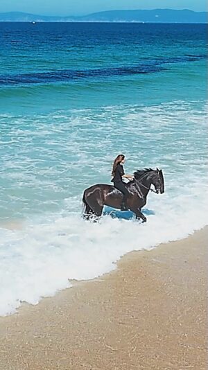 Kerri Kasem Instagram - What a dream!
Beauty and freedom coming together on this magical beach in Comporta, Portugal. 

Thank you @my_cavago for this extraordinary adventure!!!!

If you’d like to join me next time, DM  @my_cavago. 💛💙🤍

#Portugal #Comporta #Horses #Beach #Movie