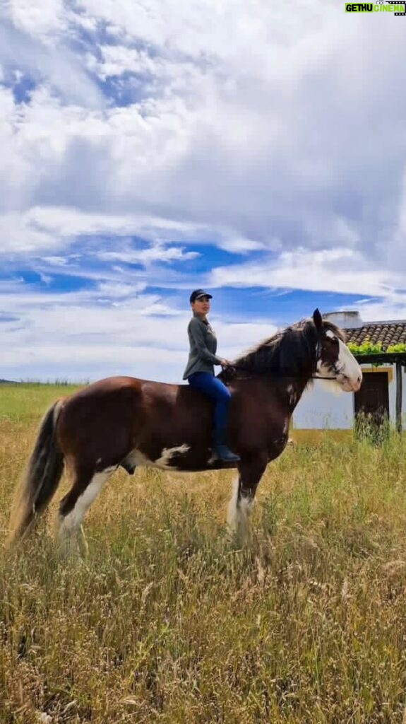 Kerri Kasem Instagram - Riding in Portugal has been amazing!!! Here we are riding through @torredepalma… I’m on a Clydesdale named Ozzy! 🐴♥️ Thank you @my_cavago! 💛 @aida_cavago @an4am @tauseefq #portugal #horses #clydesdale #Vineyard