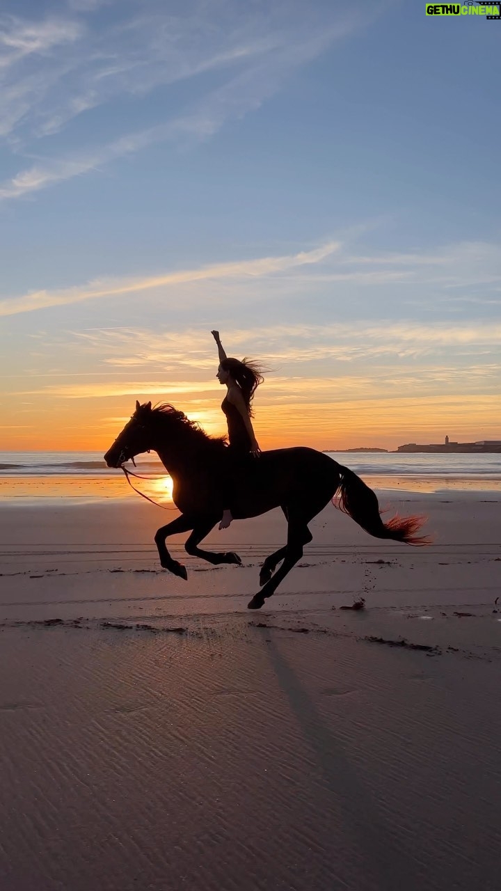 Kerri Kasem Instagram - Priceless feeling 🇲🇦 Collaboration with @my_cavago @kerrikasem . . . . . . . #essaouira #morocco #marrakech #maroc #horse #horses #instahorses #horsesofinstagram #pferd #cheval #paris #london #berlin #köln #dusseldorf #stuttgart #dortmund #geneve #lausanne #agadir #casablanca #marokko #oslo #malmö #dubai #abudhabi #nature #earthfocus Essaouira