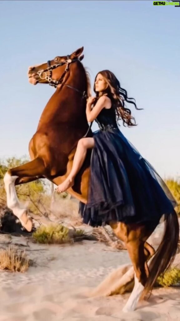 Kerri Kasem Instagram - This Is My World! Traveling the world, riding horses has been a dream come true for me! This shot was taken in Dubai. An amazing collaboration of @my_cavago @portrait.stories and @traveling_shooter_11b! @festimisufiofficial - Gown @fashionweekstudioofficial TY: @grissellehalime 😘 #Dubai #Arabian #Emigrate #richardkruspe #Horse