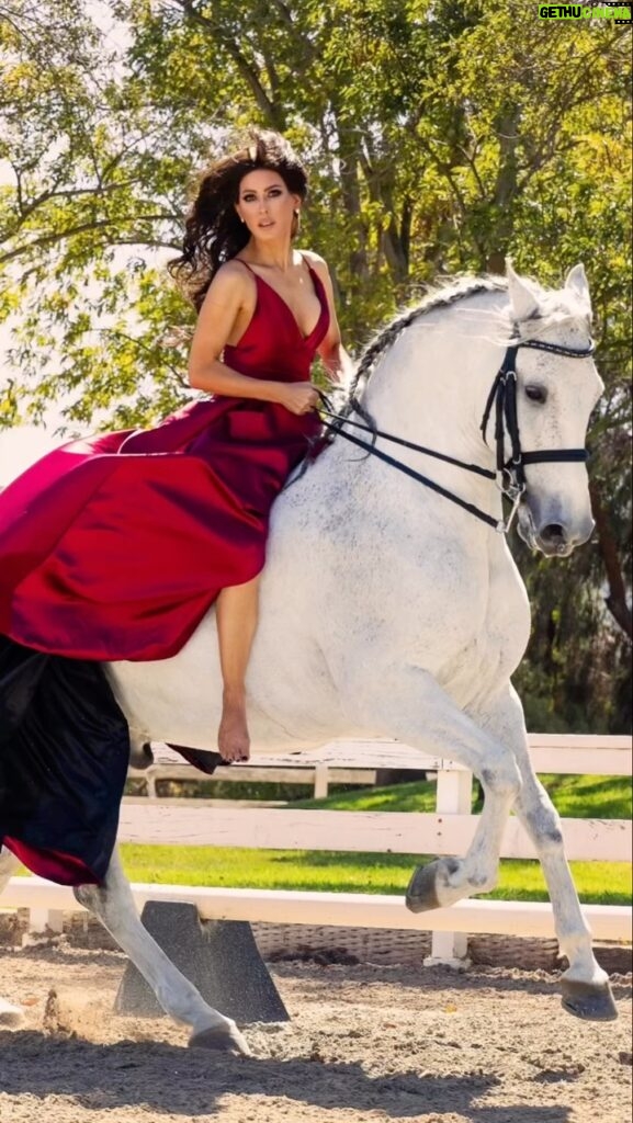 Kerri Kasem Instagram - Behind the scenes of one of my most favorite photo shoots! @arezoojalali_photography nailed it for @stylecruze magazine! Thank you @my_cavago ❤️ TY @itswillfranco - red dress @makeupnadiya.ca - makeup @friesiansm - Lusitano Jardim MT @simonesairbrushtanning #WhiteHorses #RedDress #HorsesOfInstagram #Viral #lusitano