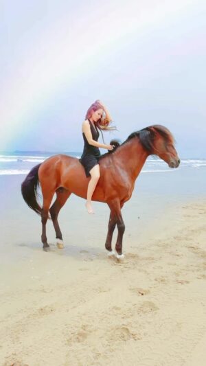 Kerri Kasem Instagram - I can’t tell you what it really is, I can only tell you what it feels like… 
#Joy #Love #Freedom.

TY @yassine_cavalier 

#Horse #Viral #morocco #beach #stallion