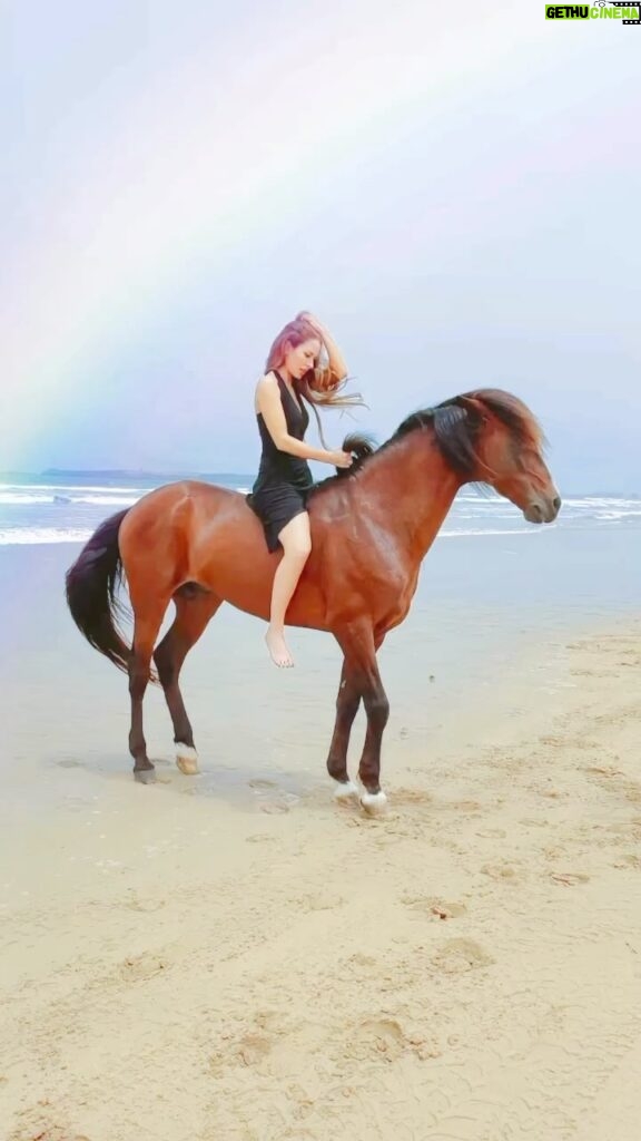 Kerri Kasem Instagram - I can’t tell you what it really is, I can only tell you what it feels like… #Joy #Love #Freedom. TY @yassine_cavalier #Horse #Viral #morocco #beach #stallion