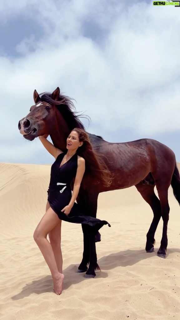Kerri Kasem Instagram - Saying HI in horse language! Turn up the sound you can hear us both whinny! Thank you @yassine_cavalier for sharing your beautiful horses with us. You have a connection with your horses that I have never seen before. Yassine told Brego, the stallion, to stay and he stood there in the dunes hanging out for about two hours. He never once thought about running back to the barn or running away like most horses would do. Brego was so comfortable he fell asleep a couple times and we had to wake him up. #Horse #Morocco #Stallion #SandDunes #HorseAndRider
