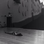 Kerry Condon Instagram - #tbt #indifferentwomen #exhaustion