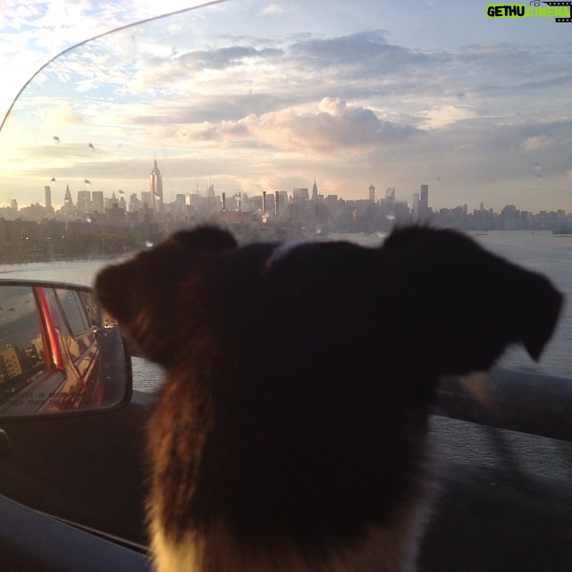 Kerry Condon Instagram - Last evening in New York