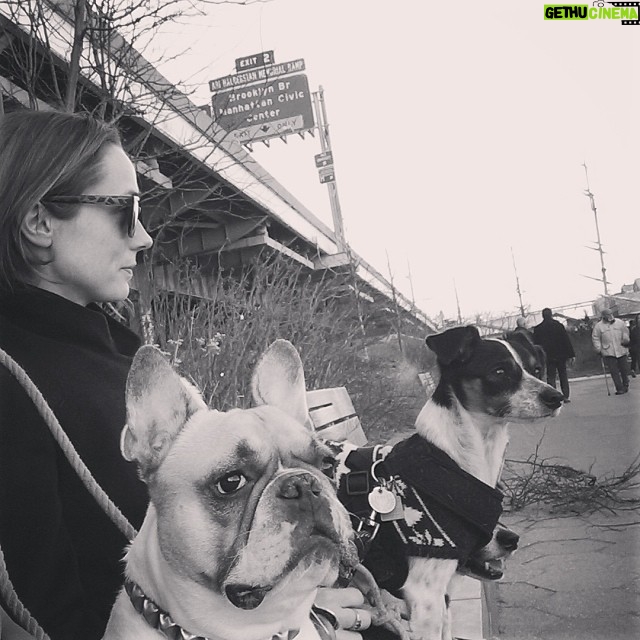 Kerry Condon Instagram - Dog day afternoon #dogsitting