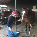 Kerry Condon Instagram - The boys left last night for summer pasture in Seattle 😥