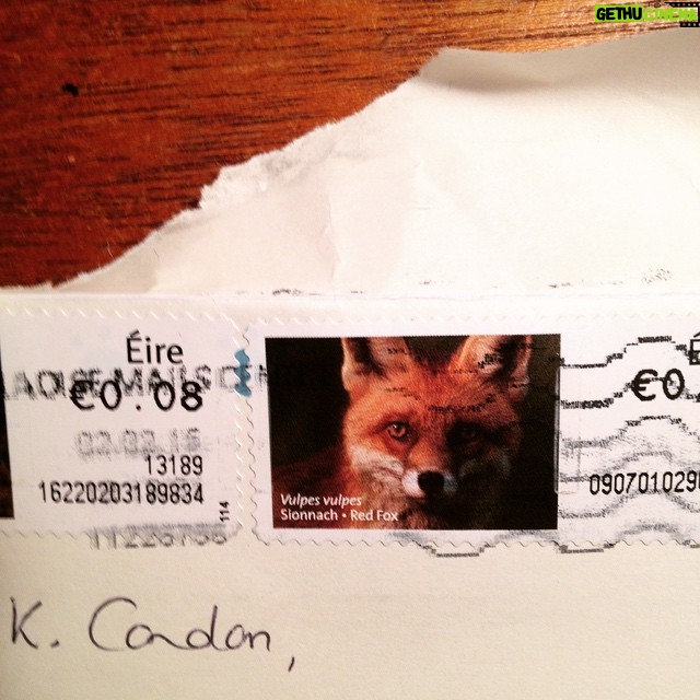 Kerry Condon Instagram - Letter from home 🐺🍀❤️