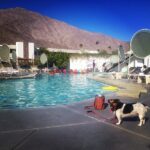 Kerry Condon Instagram – Palm Springs weekend away