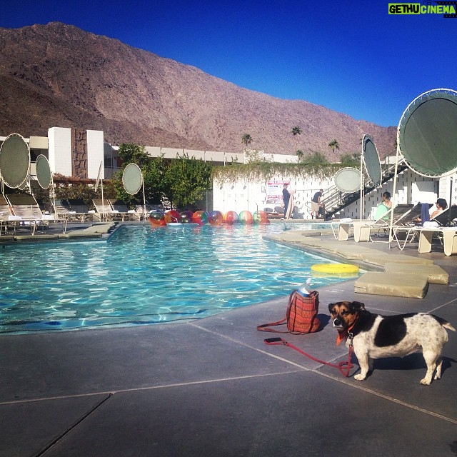 Kerry Condon Instagram - Palm Springs weekend away
