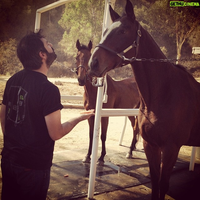Kerry Condon Instagram - @danielsdoing got to meet the horses #friends