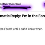 Kether Donohue Instagram - I’m back from the forest but I’m having a very hard time letting go of this auto reply