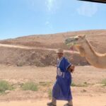 Kevin Dias Instagram - 🦂🏜️🐪🌵🧞‍♂️ (merci @beagafay pour cette expérience inoubliable) Agafay Desert