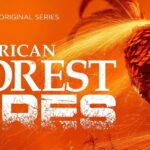 Kevin Ryan Instagram – My bestie @gingermattstacey put his heart and soul into such an important and misunderstood topic. #americanforestfires premieres today on @skytv #skytv @earthxtv #earthxtv Congratulations to all involved and wishing you all the success to come from your hard graft.