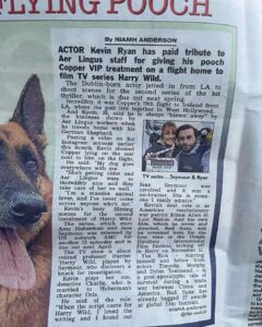 Kevin Ryan Instagram - #thesun