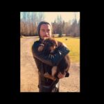 Kevin Ryan Instagram - Missing my girl every second of everyday and here’s some of those memories…I embraced every moment and am grateful & blessed to have shared so many beautiful memories with Copper 🐕 🐾 ❤️ Rest In Peace my sweet angel… #puppylove #copper #copperthedog @copperthedogofficial #puppy #germanshepherd #bestfriend #goodbye #love #grattitude #missyou
