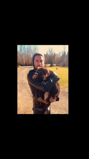 Kevin Ryan Instagram - Missing my girl every second of everyday and here’s some of those memories…I embraced every moment and am grateful & blessed to have shared so many beautiful memories with Copper 🐕 🐾 ❤️ Rest In Peace my sweet angel… #puppylove #copper #copperthedog @copperthedogofficial #puppy #germanshepherd #bestfriend #goodbye #love #grattitude #missyou