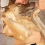 Kevin Ryan Instagram – Sunday morning are for rockin’ it out with your pup! @copperthedogofficial Belly runs complete, Sting style @theofficialsting #solonely #sundaymorning #lovedogs #dogs #dogsofinstagram #doglover #puppy #puppylove Dublin, Ireland