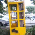 Khosrow Ahmadi Instagram - دوستان عزیز کی دوزاری داره میخوام به گذشته زنگ بزنم. خیلی دلم گرفته. این درخته م جاه خشک کرده بیرون نمیاد.