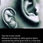 Khulu M. Skenjana Instagram - Swipe to hear a Hip Hop mega star admit this truth. Don’t be fooled this applies to all genres of music, yanos, rnb, neo-soul and even gospel. Yes even gospel, who do you think owns them gospel labels??? Be set apart beloved. You are allowing yourself and your children to be fed to the wolves, listening to that music. In case you were wondering this also applies to your eyes and the content you watch. #kushubile #BattleForYourSoul #DoubleDoseOfDescernmentPlease