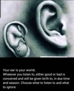 Khulu M. Skenjana Instagram - Swipe to hear a Hip Hop mega star admit this truth. Don’t be fooled this applies to all genres of music, yanos, rnb, neo-soul and even gospel. Yes even gospel, who do you think owns them gospel labels??? Be set apart beloved. You are allowing yourself and your children to be fed to the wolves, listening to that music. In case you were wondering this also  applies to your eyes and the content you watch. #kushubile #BattleForYourSoul #DoubleDoseOfDescernmentPlease