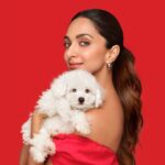 Kiara Advani Instagram - FOCUS on your dog’s health & well-being with @droolsindia 🐾❤️ Drools Focus Super Premium is a single grain formula & has no corn, soya or wheat. It’s available for all ages- Starter, Pup & Adult to ensure your dog gets the right nutrition throughout its growth cycle Drools Focus, Feed Real Feed Clean ❤️