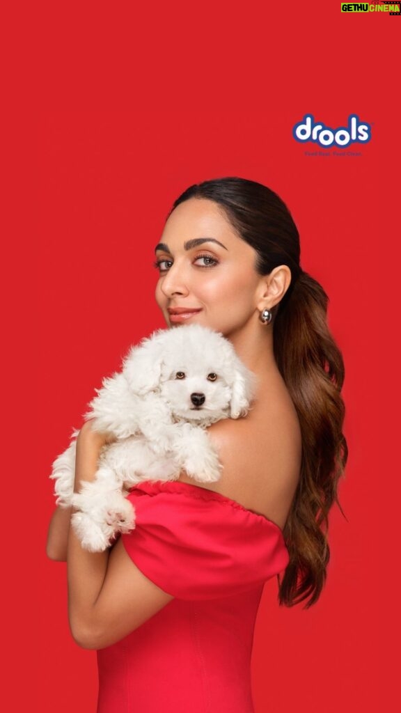 Kiara Advani Instagram - FOCUS on your dog’s health & well-being with @droolsindia 🐾❤ Drools Focus Super Premium is a single grain formula & has no corn, soya or wheat. It’s available for all ages- Starter, Pup & Adult to ensure your dog gets the right nutrition throughout its growth cycle Drools Focus, Feed Real Feed Clean ❤