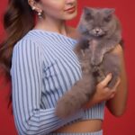 Kiara Advani Instagram - Happy paws, wagging tails & the biggest smiles with DROOLS ❤️ Choose real ingredients, 0 by-products & droolicious taste for your furry friends with @Droolsindia 🐾 #pets #droolsindia #petlovers #bts #dogs #doglovers #instagood #ad