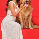 Kiara Advani Instagram - Join him and I ASMR-ing our way for breakfast! While I was busy preparing some of my favorite food, it’s a quick snip snap & pour, all thanks to @droolsindia 😋 Drools- Feed Real Feed Clean #pets #petfood #asmr #droolsindia #dogs #doglovers #ad