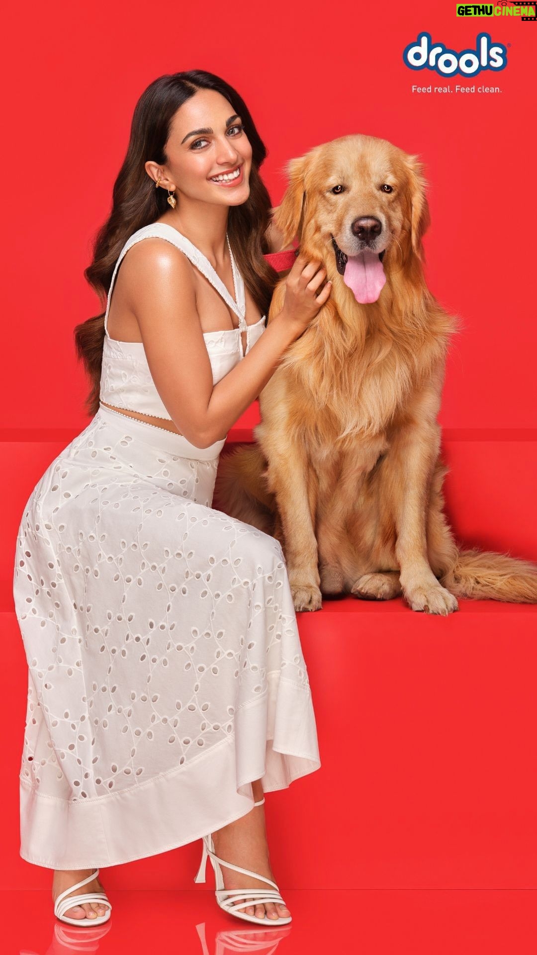 Kiara Advani Instagram - Join him and I ASMR-ing our way for breakfast! While I was busy preparing some of my favorite food, itโs a quick snip snap & pour, all thanks to @droolsindia ๐ Drools- Feed Real Feed Clean #pets #petfood #asmr #droolsindia #dogs #doglovers #ad